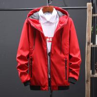 cms/erpbt/backend/web/uploads/erp/collection/images/Men Clothes/JIMANFEI/EN0137905/img_b/EN0137905_img_b_2